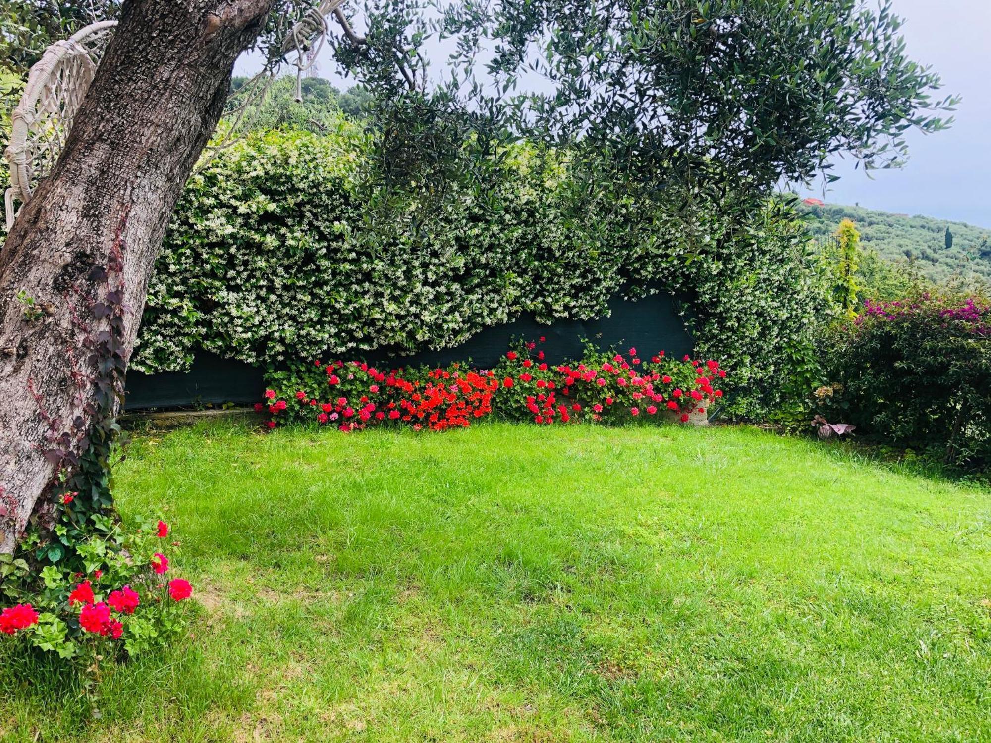 Le Jardin Sur Mer Avec Bike Et Mtb Tour Hotel Imperia Exterior photo
